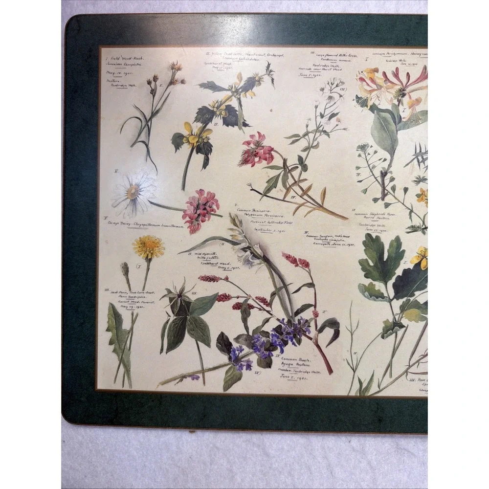 Set Of 4 Pimpernel Royal Horticulture Society Floral Cork Back Placemats England